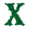 lettrine X lettre avec les feuilles platanes couleur vert anglais