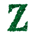 lettrine Z lettre avec les feuilles platanes couleur vert anglais