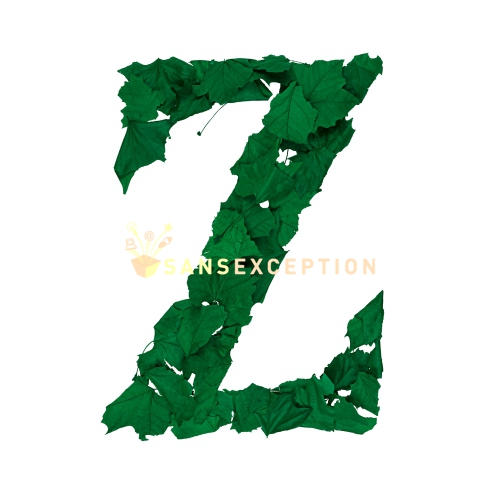 lettrine Z lettre avec les feuilles platanes couleur vert anglais